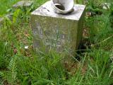 image of grave number 43658
